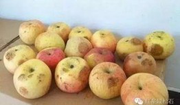 南中吃瓜小组,揭秘校园热点，畅谈青春话题