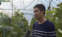 吃网纹瓜群众图片,群众共享甜蜜时光