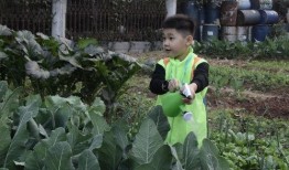 小索吃瓜,揭秘娱乐圈那些不为人知的幕后故事