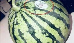 北海网红吃瓜,揭秘网络红人的幕后故事