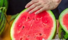 大学吃瓜图,揭秘大学吃瓜图背后的故事