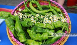 广西法院吃瓜,一场网络热议的司法风波揭秘”