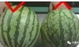 神池吃瓜,揭秘网络热点的背后故事