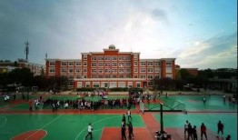 梧州学院吃瓜墙,校园热点事件背后的真相与反思