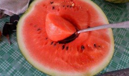 在线吃瓜吃到本人,我的在线吃瓜之旅