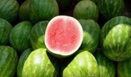 在宿舍吃瓜位置,揭秘宿舍吃瓜最佳位置