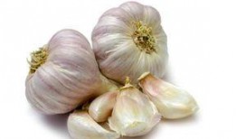 大蒜 吃瓜,健康饮食的奇妙组合