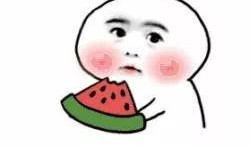 呆萌避雷吃瓜,轻松吃瓜，远离是非风波