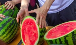 昆明学校 吃瓜,揭秘校园“吃瓜”背后的故事