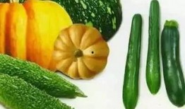 二郎吃瓜,一场神界与凡间的趣味碰撞