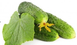 绿色的树瓜怎么吃,绿色树瓜的多样食法探索