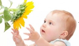 小孩吃蒲瓜过敏吗,过敏风险知多少？