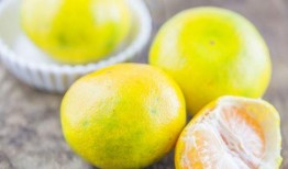 孕妇可以吃浙江白脆蜜瓜,浙江白脆蜜瓜，营养美味两不误