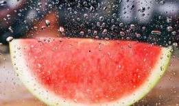 吃瓜落雪后续,揭秘神秘事件背后的真相与谜团