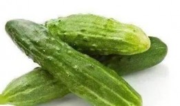 尿酸高可以吃瓜,瓜类食物的合理摄入