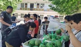 棉津吃瓜群众,揭秘娱乐圈幕后风云