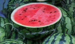 都有膜 吃瓜,探索都有膜的奇妙世界