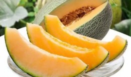 来瓜州当个吃瓜群众的人,一位吃瓜群众的观瓜记