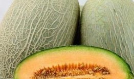 姐妹们吃哈密瓜