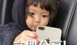 微信表情吃瓜表情,揭秘吃瓜表情背后的网络文化现象