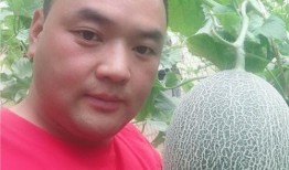 售卖吃瓜视频在线观看,在线观看吃瓜视频，轻松解锁娱乐新姿势