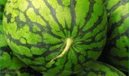 发烧后可以吃瓜,这些瓜类食物助你恢复健康