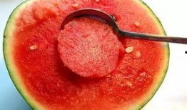 临清小卫吃瓜视频,揭秘网络热点背后的故事