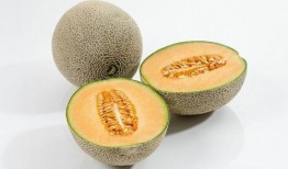 哈密瓜吃哈密瓜,品味正宗哈密瓜的独特魅力