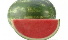 瓜苦吃坏肚子了