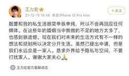 2021吃瓜评价,笑料百出，舆情风云