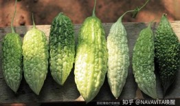 3月瓜怎么吃,3月瓜果的多样食用指南