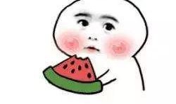 小付吃瓜终成瓜,终成瓜界传奇