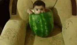 吃瓜十七,一场网络热点的狂欢与反思