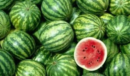 吃瓜小屋,网络热点的幕后故事