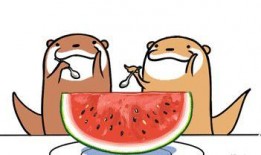 抱着吃瓜,揭秘娱乐圈的幕后故事