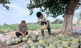 谷底吃瓜,吃瓜者的崛起之路