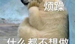 雪人吃瓜表情包图片,冬日里的欢乐源泉