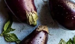 那些不宜吃茄瓜,健康饮食需注意