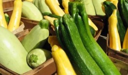 fpd吃瓜,揭秘娱乐圈幕后风云