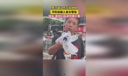 吃瓜录视频被拍,镜头下的瞬间成为焦点