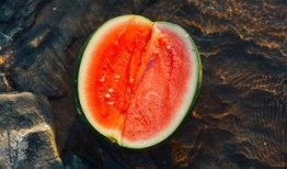 双飞燕吃瓜,揭秘娱乐圈背后的秘密与八卦