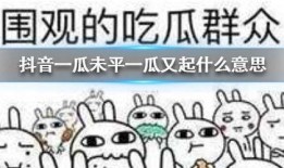 抖音吃瓜麻将,揭秘网络红人的娱乐生活