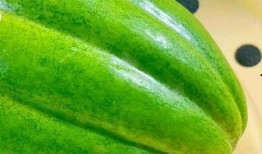 月下吃瓜的人,揭秘人生百态的闲情逸致