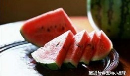 姜饼瓜老了怎么吃,探索创意烹饪新境界