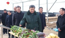 襄城吃瓜群众新闻,最新新闻事件深度解析