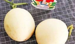 吃瓜的白白子,揭秘“吃瓜群众”背后的白白子世界