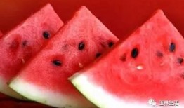 什么叫吃瓜命,揭秘网络时代下的围观者命运