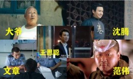 杨老板喵爷吃瓜,揭秘娱乐圈幕后风云