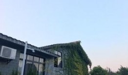 柳州楼叔吃瓜,揭秘吃瓜背后的故事与趣味