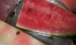 兰州吃瓜事件照片,一场网络热议背后的真相揭秘